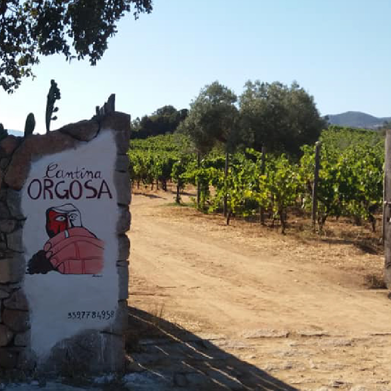 Cantina Orgosa